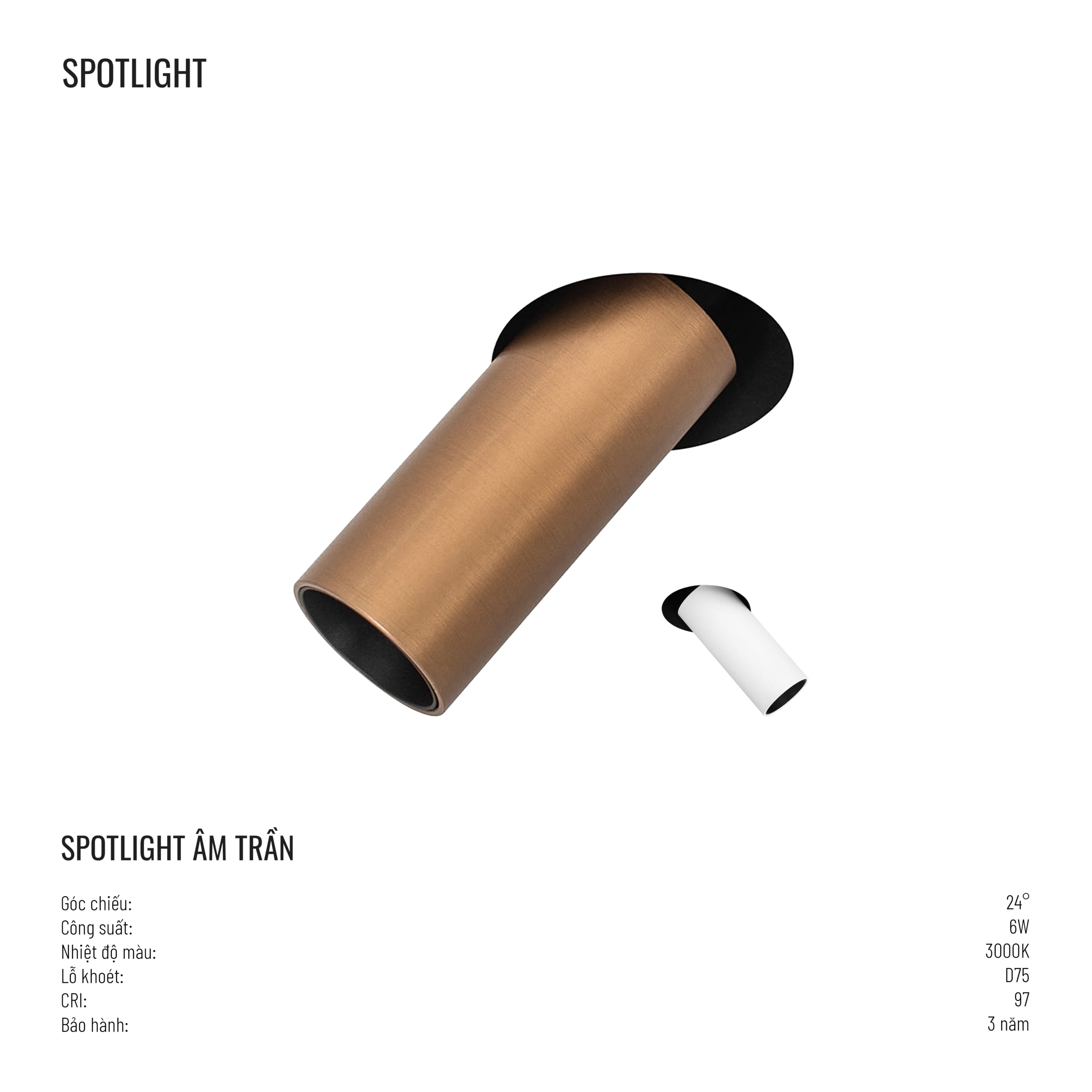 spotlight n
